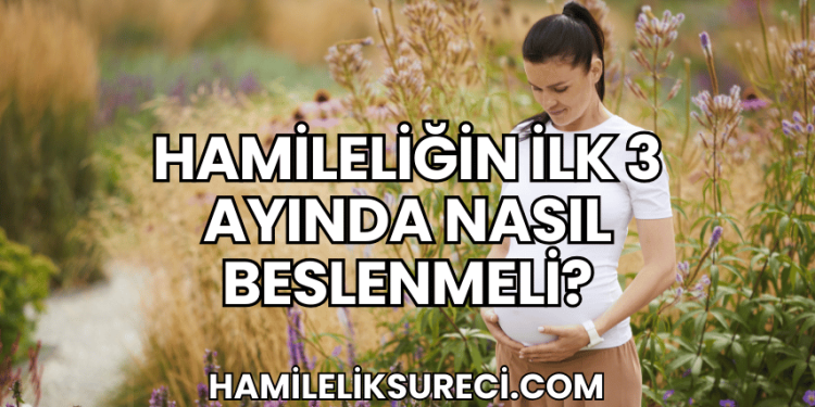 Hamileliğin İlk 3 Ayında Nasıl Beslenmeli?