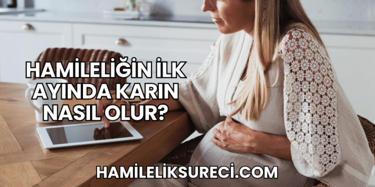 Hamileliğin İlk Ayında Karın Nasıl Olur?
