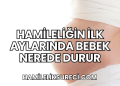Hamileliğin İlk Aylarında Bebek Nerede Durur