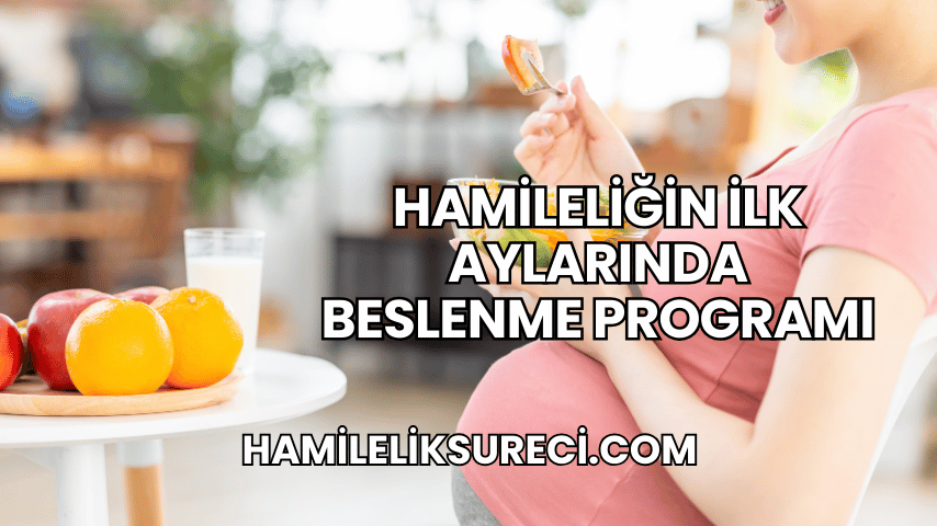 Hamileliğin İlk Aylarında Beslenme Programı