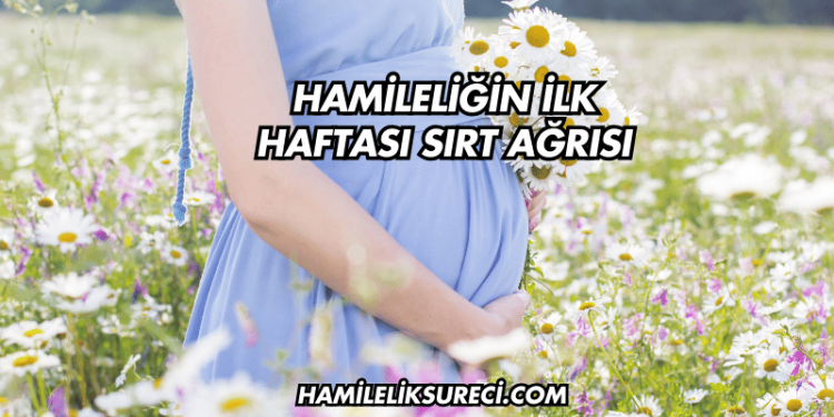 Hamileliğin İlk Haftalarında Mide Ağrısı