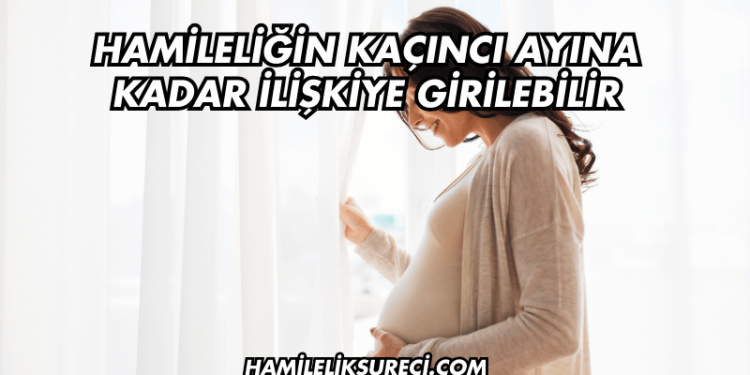 Hamileliğin Kaçıncı Ayına Kadar İlişkiye Girilebilir