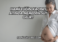 Hamileliğin Kaçıncı Ayında Memeden Süt Gelir?