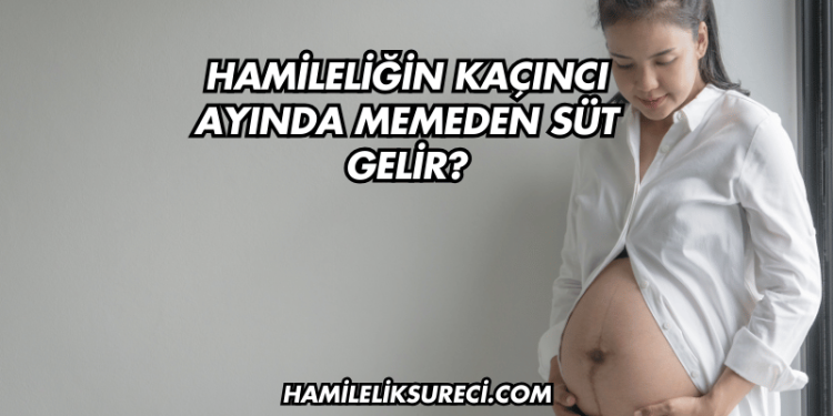 Hamileliğin Kaçıncı Ayında Memeden Süt Gelir?