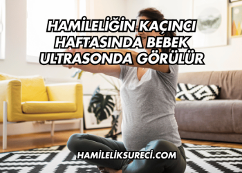 Hamileliğin Kaçıncı Haftasında Bebek Ultrasonda Görülür