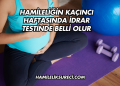 Hamileliğin Kaçıncı Haftasında İdrar Testinde Belli Olur