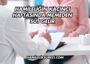 Hamileliğin Kaçıncı Haftasında Memeden Süt Gelir