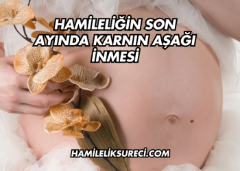 Hamileliğin Son Ayında Karnın Aşağı İnmesi