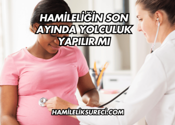 Hamileliğin Son Ayında Yolculuk Yapılır mı
