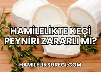 Hamilelikte Keçi Peyniri Zararlı mı?
