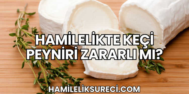 Hamilelikte Keçi Peyniri Zararlı mı?