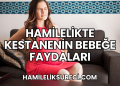 Hamilelikte Kestanenin Bebeğe Faydaları