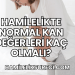 Hamilelikte Kilo Almamak İçin Yapılan Egzersizler