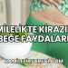 Hamilelikte Kirazın Bebeğe Faydaları