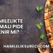 Hamilelikte Kıymalı Pide Yenir mi?