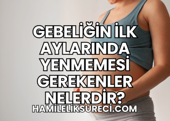 Gebeliğin İlk Aylarında Yenmemesi Gerekenler Nelerdir?