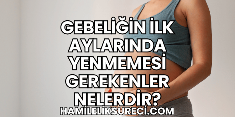Gebeliğin İlk Aylarında Yenmemesi Gerekenler Nelerdir?