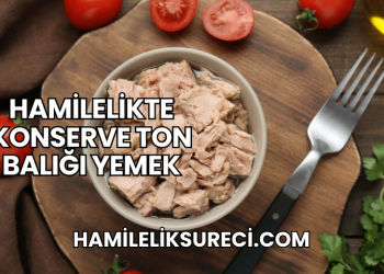 Hamilelikte Konserve Ton Balığı Yemek