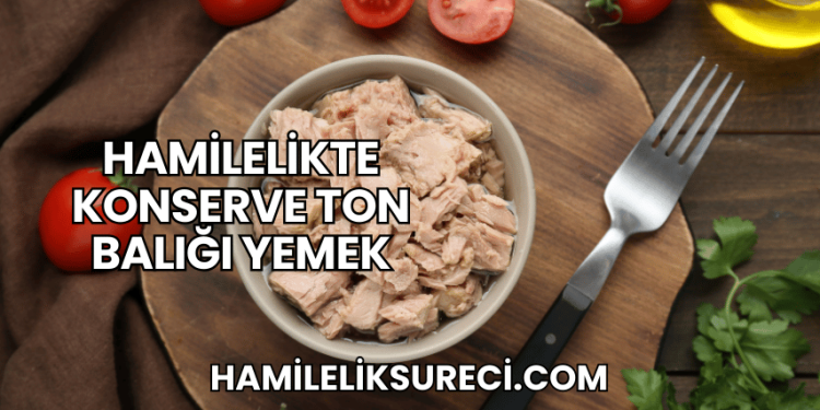 Hamilelikte Konserve Ton Balığı Yemek