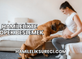Hamilelikte Köpek Beslemek