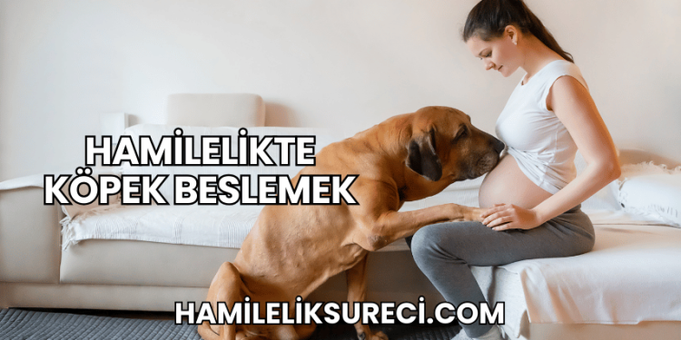 Hamilelikte Köpek Beslemek
