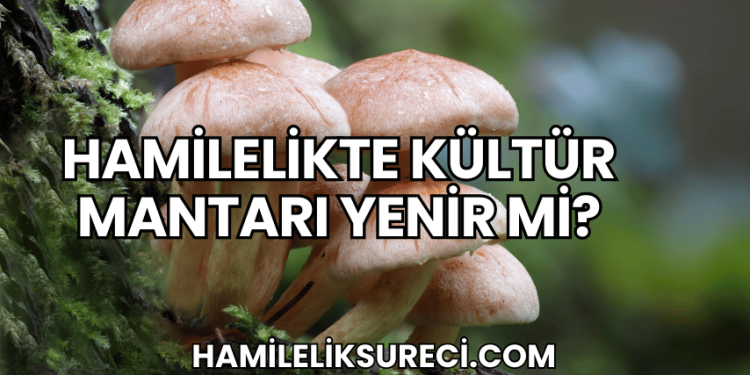 Hamilelikte Kültür Mantarı Yenir mi?