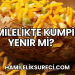 Hamilelikte Kumpir Yenir mi?