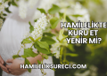 Hamilelikte Kuru Et Yenir mi?