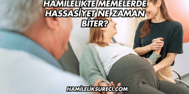 Hamilelikte Memelerde Hassasiyet Ne Zaman Biter?