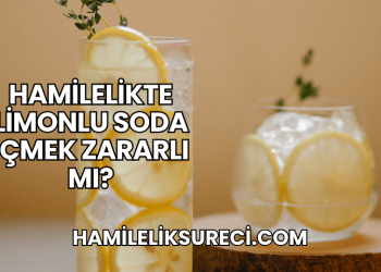 Hamilelikte Limonlu Soda İçmek Zararlı mı?