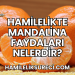 Hamilelikte Mandalina Faydaları Nelerdir?