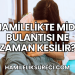 Hamilelikte Mide Bulantısı Ne Zaman Kesilir?