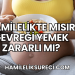 Hamilelikte Mısır Gevreği Yemek Zararlı mı?