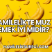 Hamilelikte Muz Yemek İyi midir?