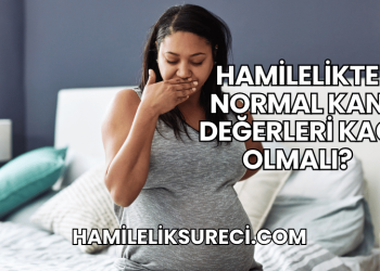Hamilelikte Normal Kan Değerleri Kaç Olmalı?