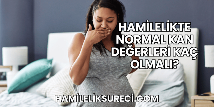 Hamilelikte Normal Kan Değerleri Kaç Olmalı?