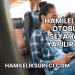 Hamilelikte Otobüs Seyahati Yapılır mı?