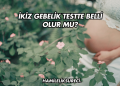 İkiz Gebelik Testte Belli Olur mu?