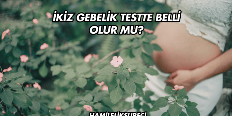 İkiz Gebelik Testte Belli Olur mu?