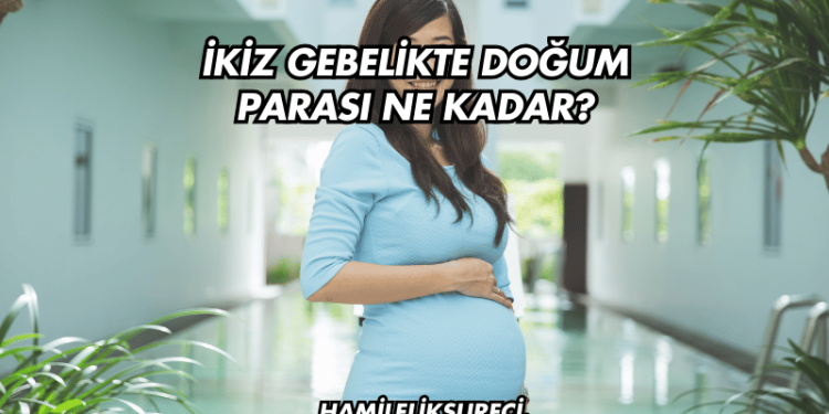 İkiz Gebelikte Doğum Parası Ne Kadar?