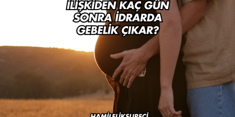 İlişkiden Kaç Gün Sonra İdrarda Gebelik Çıkar?