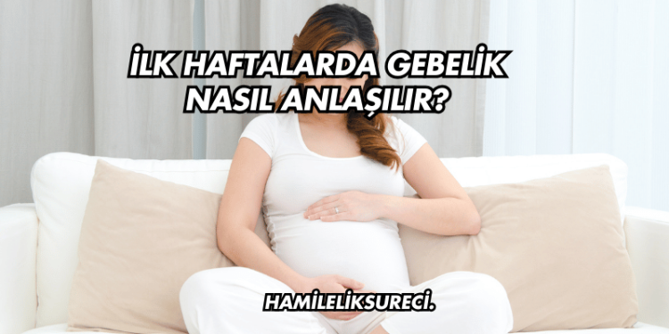 İlk Haftalarda Gebelik Nasıl Anlaşılır?