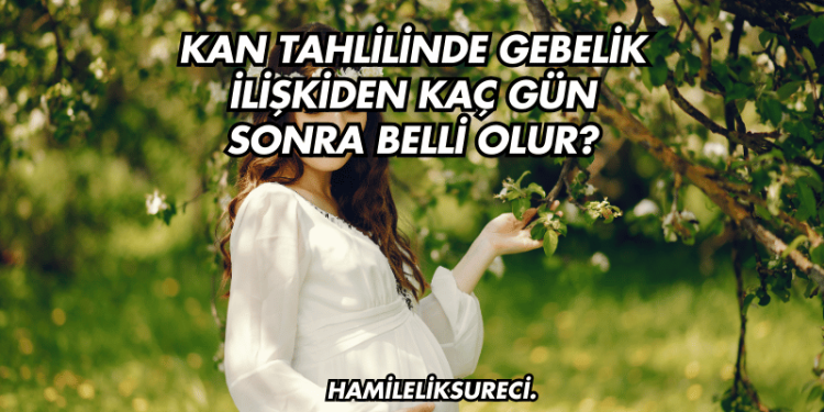 Kan Tahlilinde Gebelik İlişkiden Kaç Gün Sonra Belli Olur?