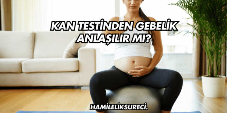 Kan Testinden Gebelik Anlaşılır mı?