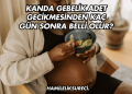 Kanda Gebelik Adet Gecikmesinden Kaç Gün Sonra Belli Olur?