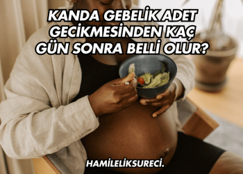 Kanda Gebelik Adet Gecikmesinden Kaç Gün Sonra Belli Olur?