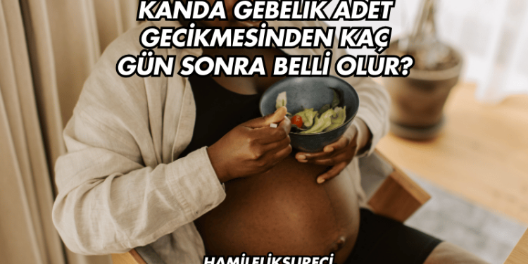Kanda Gebelik Adet Gecikmesinden Kaç Gün Sonra Belli Olur?