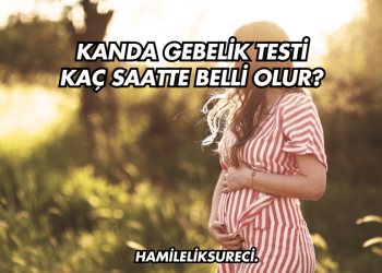 Kanda Gebelik Testi Kaç Saatte Belli Olur?