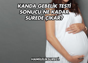 Kanda Gebelik Testi Sonucu Ne Kadar Sürede Çıkar?