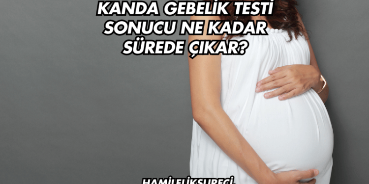 Kanda Gebelik Testi Sonucu Ne Kadar Sürede Çıkar?